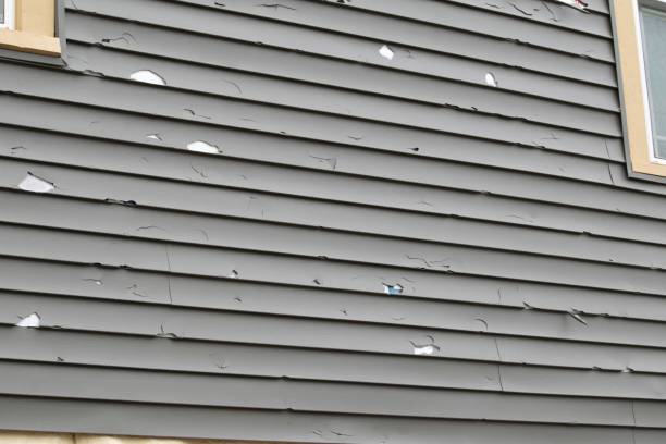 Best Storm Damage Siding Repair  in Mill Plain, CT