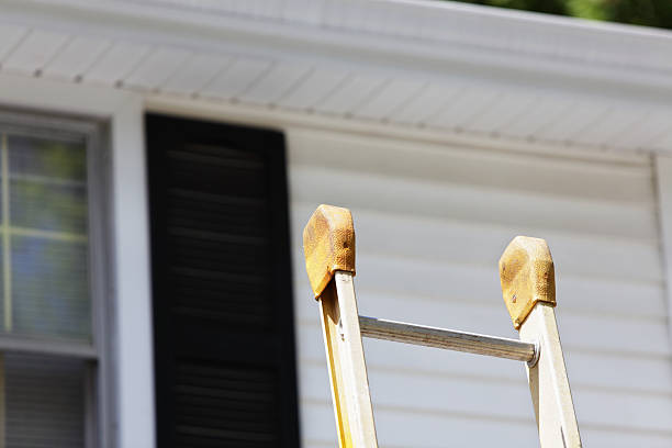 Best Vinyl Siding Installation  in Mill Plain, CT